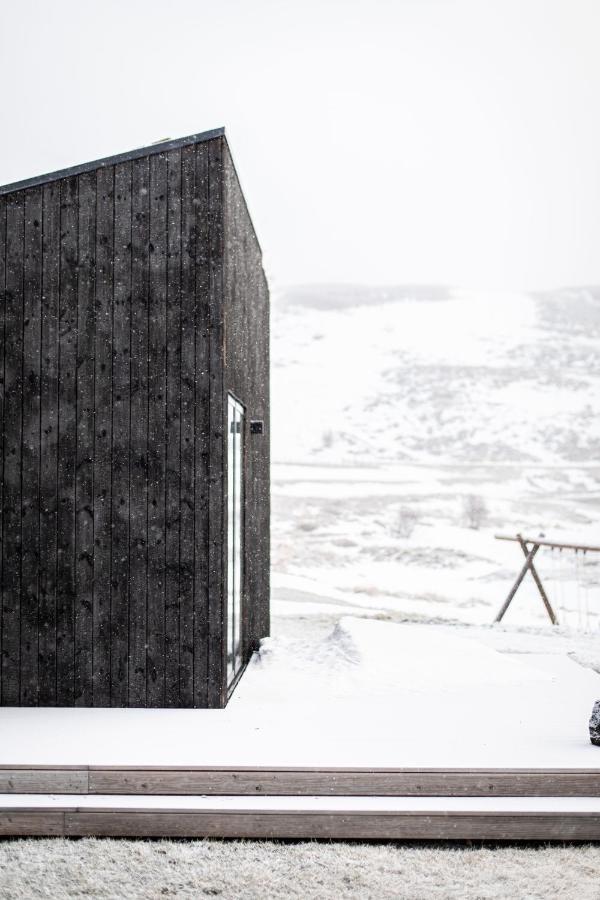 Aska, Modern Cabin Myvatn Exterior photo